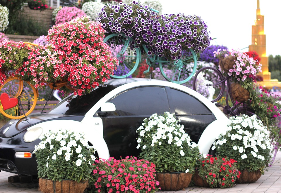 dubai miracle garden 1235958_960_720